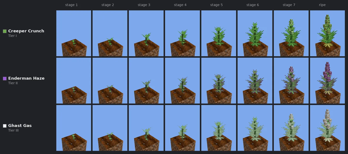 Eight growth stages of Creeper Crunch, Enderman Haze and Ghast Gas.